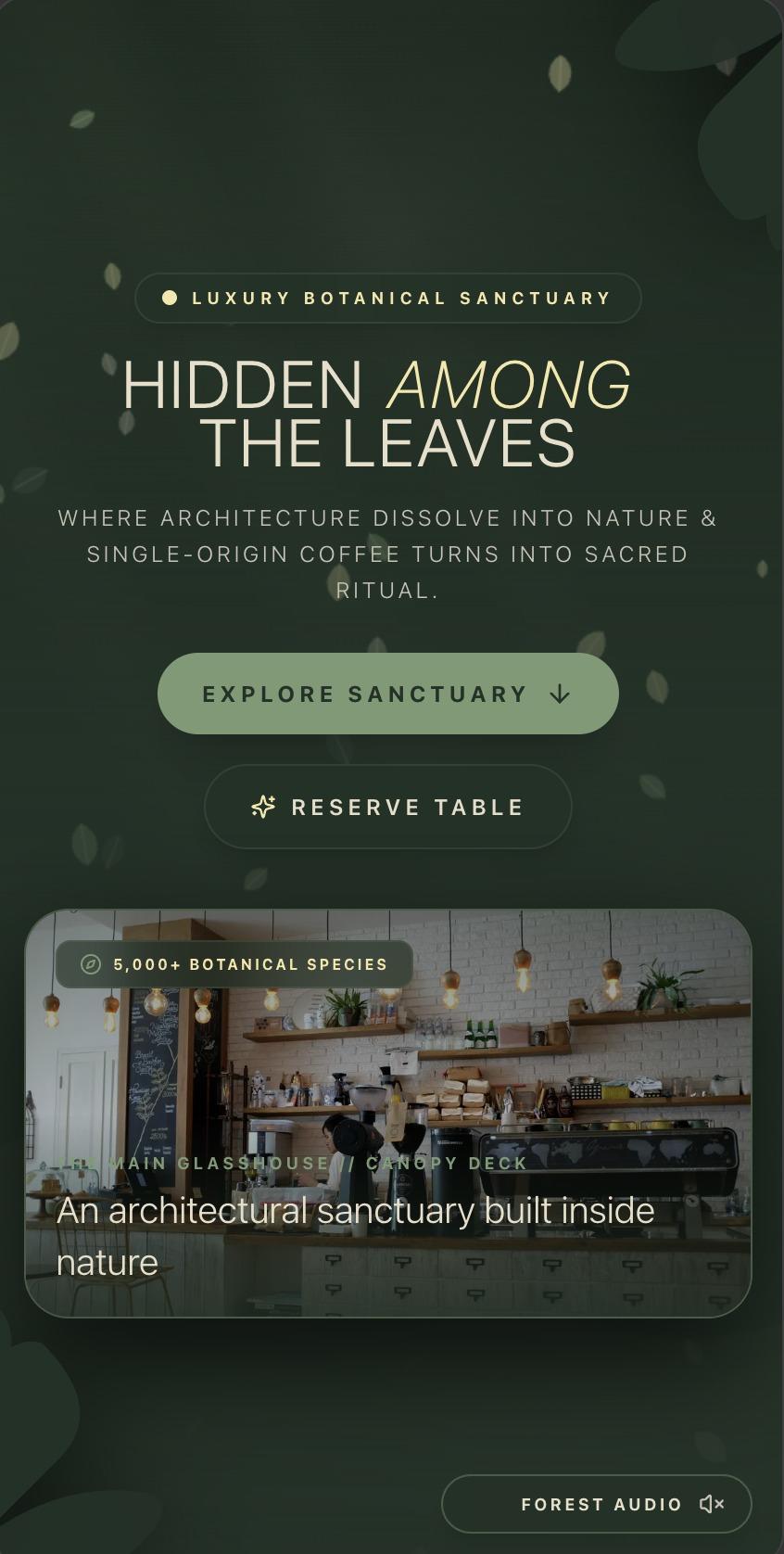 Cafe 6 — Modern Artisan Screenshot